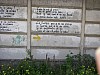 P4162633.JPG