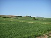 P4172643.JPG