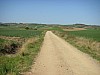 P4172645.JPG