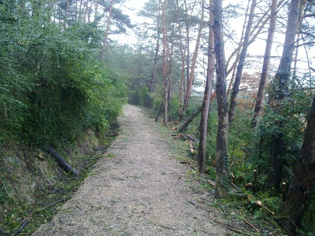 26032013442.jpg