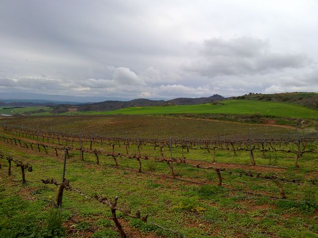 29032013452.jpg