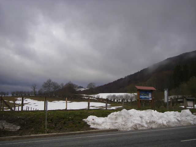 P3251422.JPG
