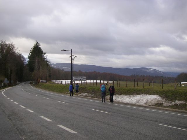 P3251423.JPG