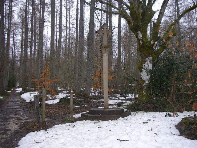 P3251442.JPG