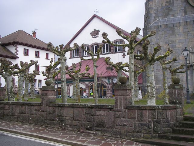 P3251446.JPG