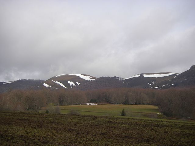P3251451.JPG