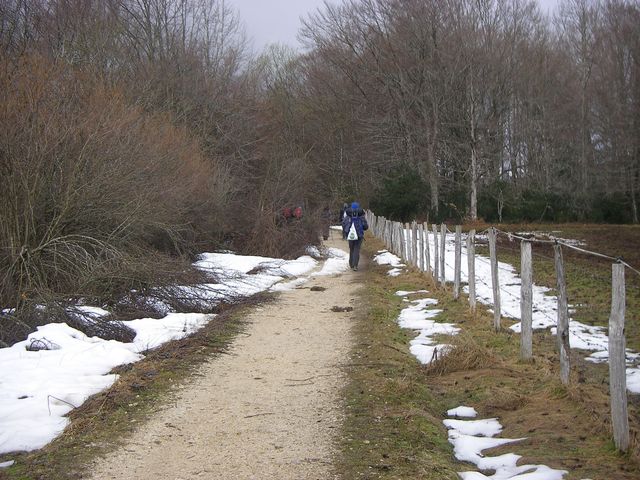 P3251452.JPG