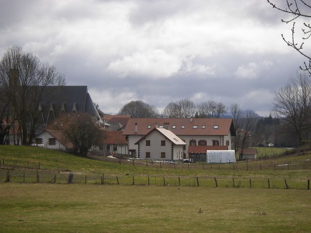 P3251460.JPG