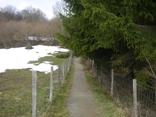 P3251466.JPG