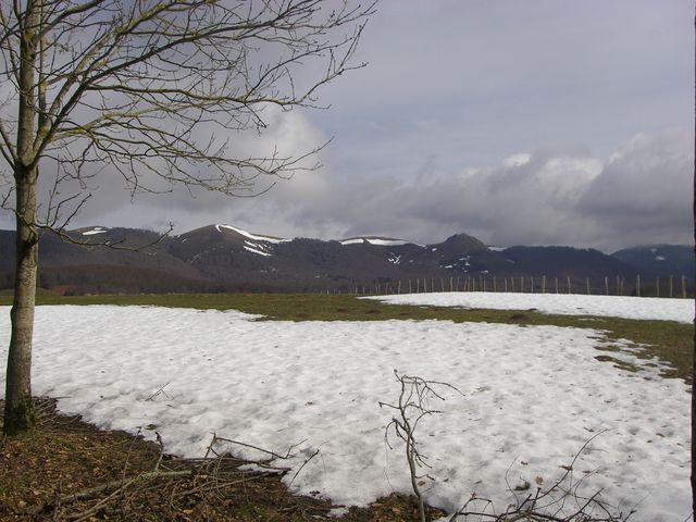 P3251468.JPG
