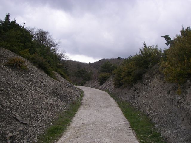 P3251494.JPG