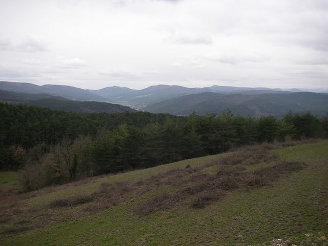 P3251503.JPG