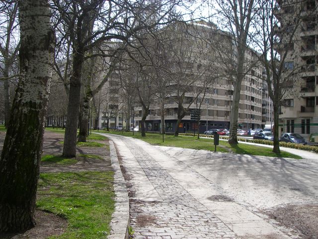 P3261561.JPG