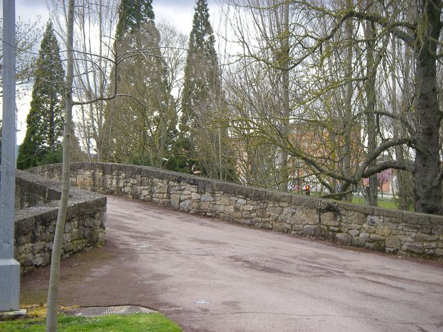 P3261564.JPG