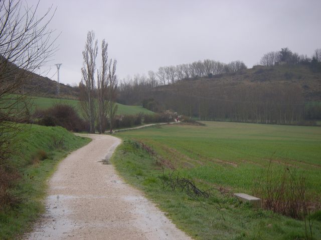 P3271576.JPG
