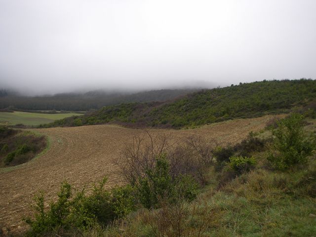 P3271589.JPG