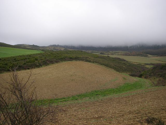P3271590.JPG