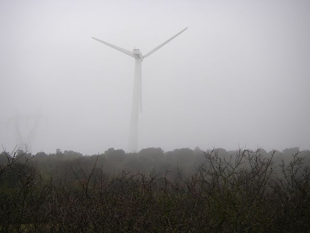P3271600.JPG