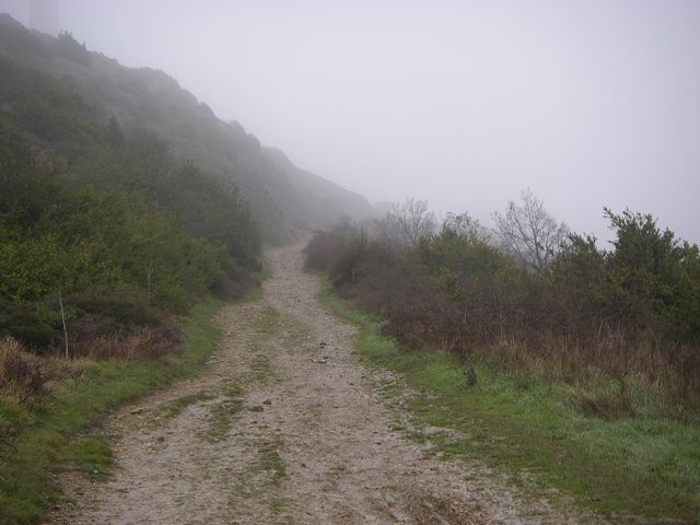 P3271604.JPG