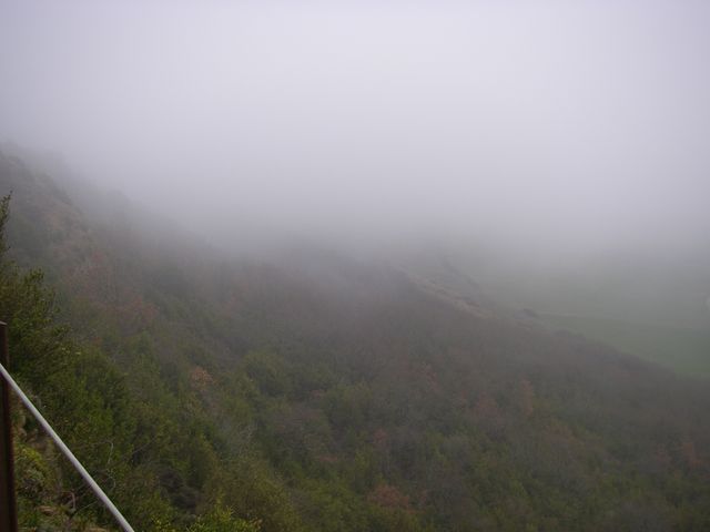 P3271607.JPG