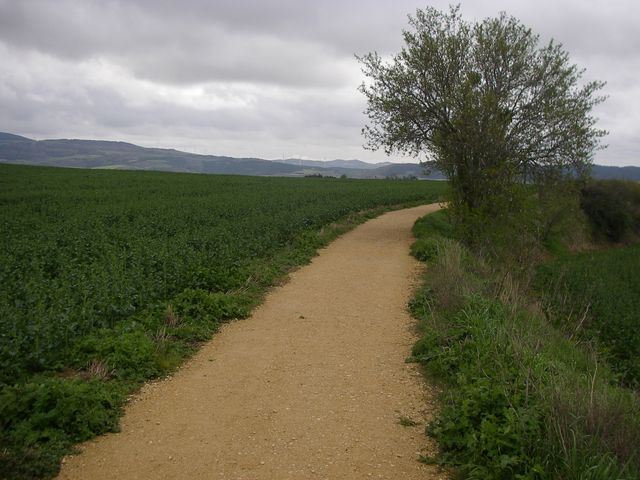 P3271634.JPG