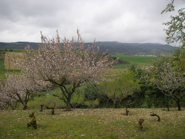 P3271635.JPG