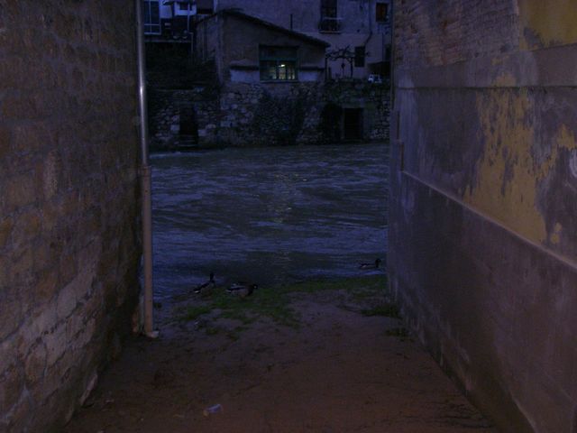 P3280015.JPG