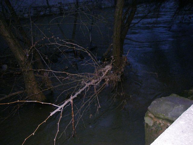 P3280021.JPG