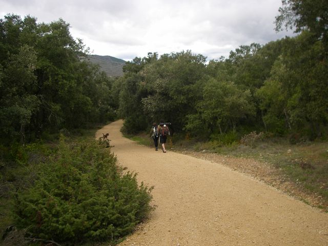 P3290046.JPG