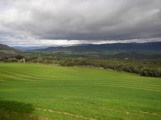 P3290047.JPG