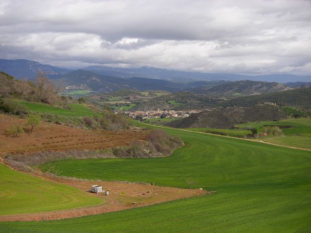 P3290051.JPG
