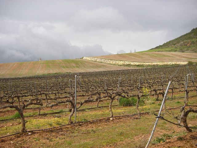 P3290053.JPG