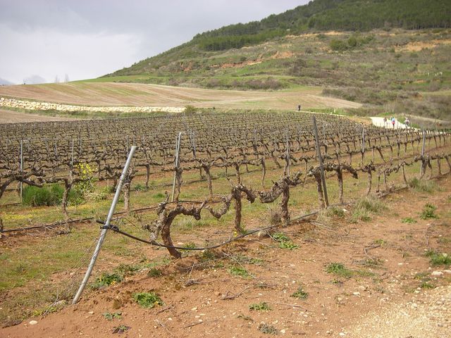 P3290054.JPG