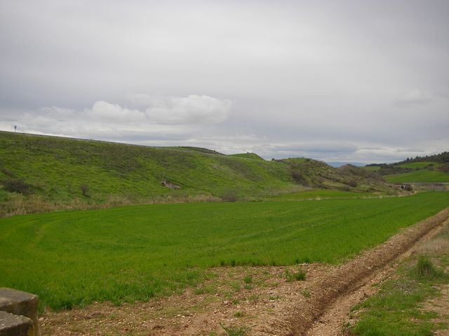 P3290066.JPG