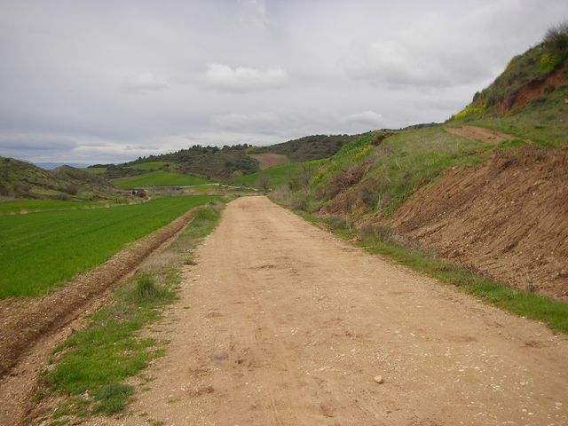 P3290067.JPG