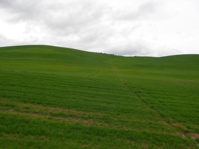 P3290069.JPG