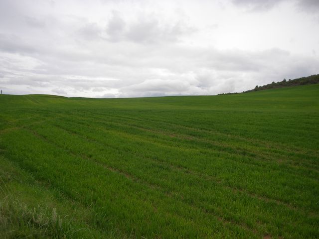 P3290070.JPG