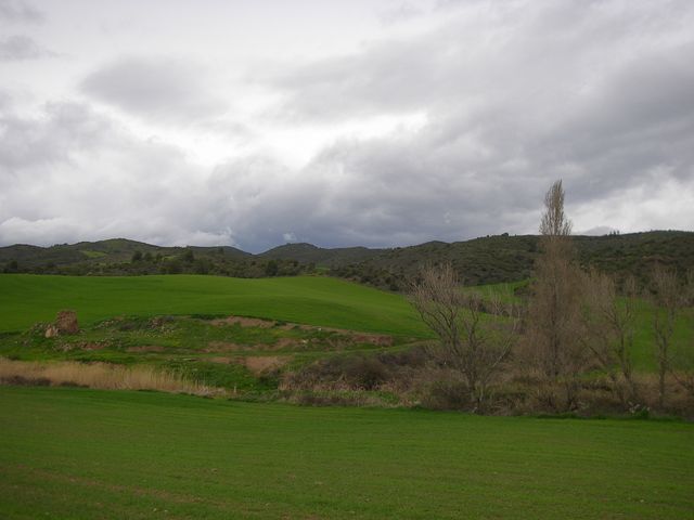 P3290073.JPG