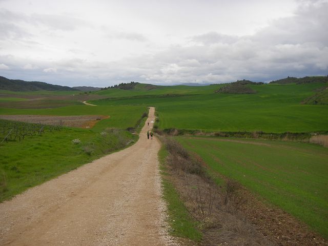 P3290074.JPG