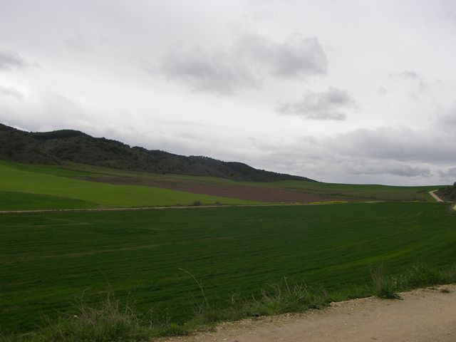 P3290075.JPG