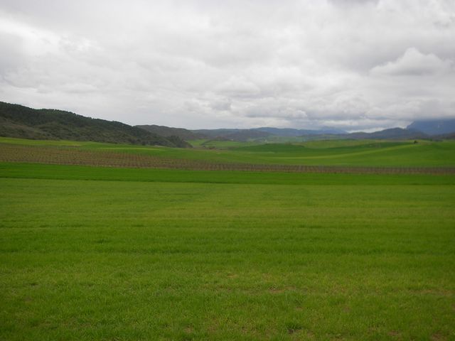 P3290076.JPG