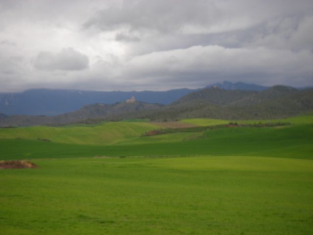 P3290078.JPG