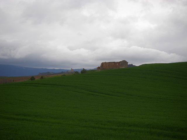 P3290079.JPG