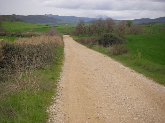 P3290080.JPG