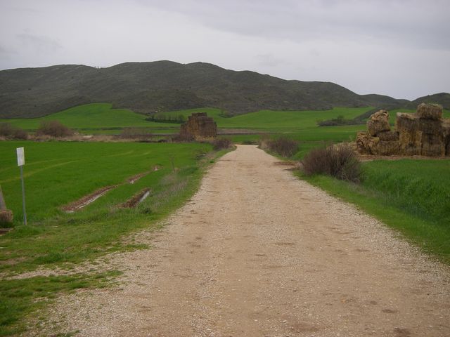 P3290082.JPG