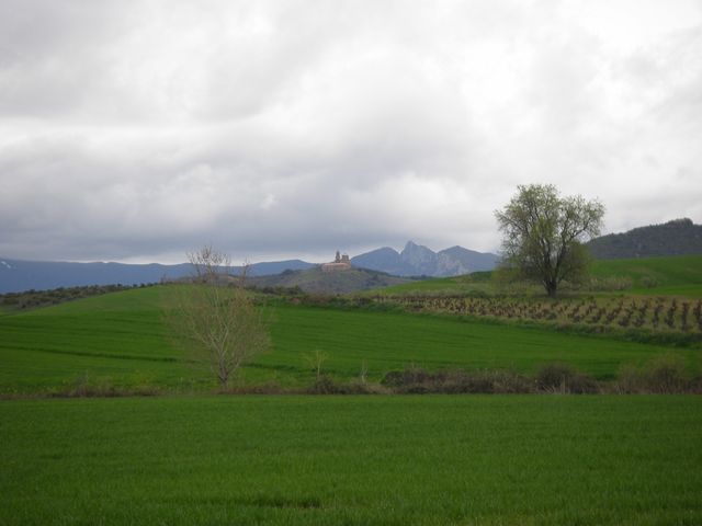 P3290083.JPG