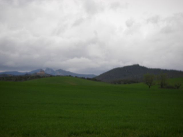 P3290084.JPG