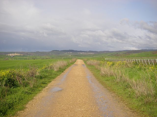 P3300103.JPG
