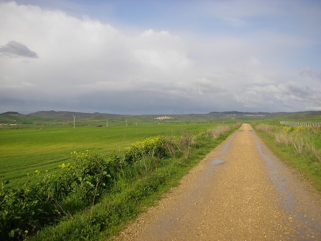 P3300104.JPG