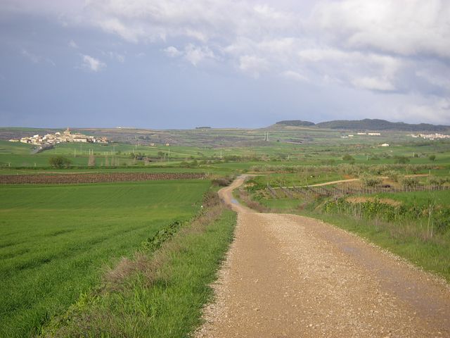 P3300107.JPG